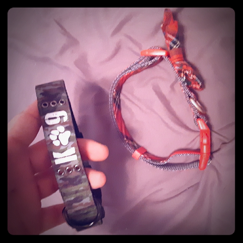 Dog Collars